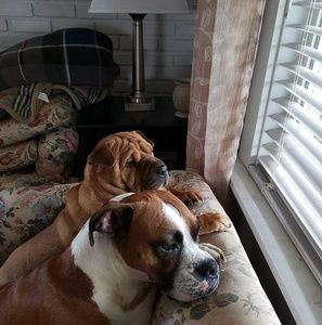 Meet your Posher, James